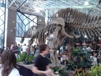 /album/galeria-de-fotos/exposi%c3%a7%c3%a3o%20dinossauros%20patagonia%20%2812%29-jpg/